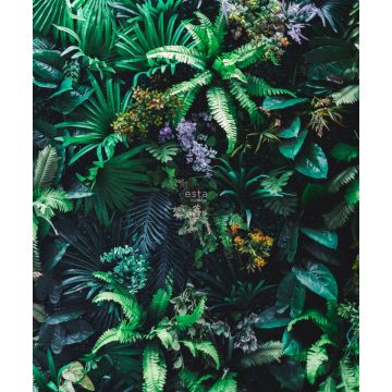 fototapet tropiska växter grönt av ESTAhome