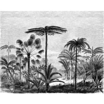 fototapet tropiskt landskap med palmer svart och vitt av ESTAhome