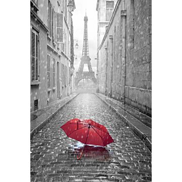 fototapet Paris svart-vitt-rött paraply grått och rött av ESTAhome
