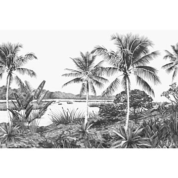fototapet tropiskt landskap med palmer svart och vitt av ESTAhome