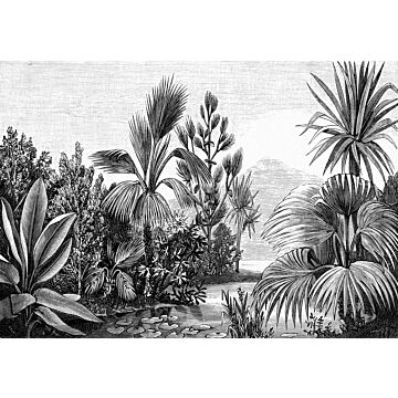 fototapet tropiskt landskap svart och vitt av ESTAhome