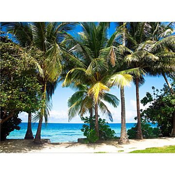 fototapet tropiskt landskap med palmer grönt och blått av Sanders & Sanders