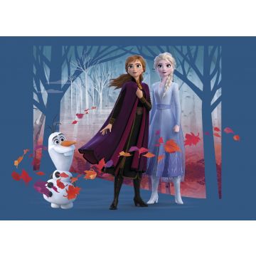poster Frost Anna & Elsa blått, lila och orange av Disney