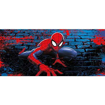 poster Spider-Man rött och blått av Sanders & Sanders