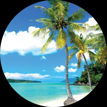 självhäftande rund tapet tropiskt landskap med palmer blått och grönt av Sanders & Sanders