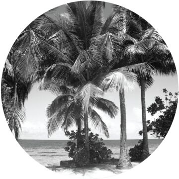 självhäftande rund tapet tropiskt landskap med palmer svart och grått av Sanders & Sanders
