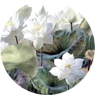 självhäftande rund tapet tropiska blad and blommor grönt och vitt av Sanders & Sanders