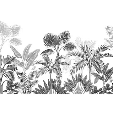 fototapet tropiskt landskap med palmer svart och vitt av Sanders & Sanders