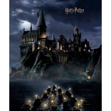 fototapet Harry Potter Hogwarts svart och mörkblått av Sanders & Sanders