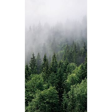 fototapet bergslandskap med träd grönt av Sanders & Sanders