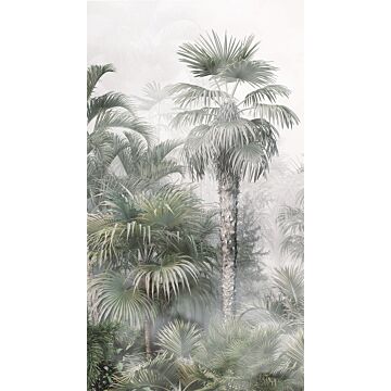 fototapet tropiskt landskap med palmer mörkgrönt och grått av Sanders & Sanders
