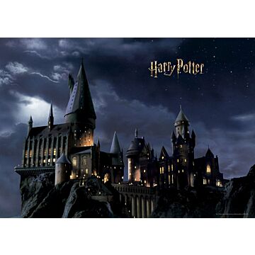 fototapet Harry Potter Hogwarts svart och mörkblått av Sanders & Sanders