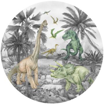 självhäftande rund tapet dinosaurier grått av Sanders & Sanders