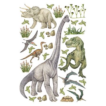 wallsticker dinosaurier grönt av Sanders & Sanders