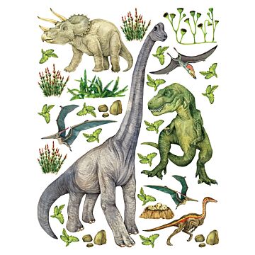 wallsticker dinosaurier grönt av Sanders & Sanders