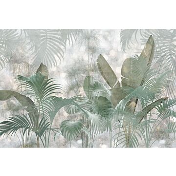 fototapet Paillettes Tropicales grågrönt av Komar
