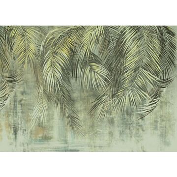 fototapet Palm Fronds grönt av Komar