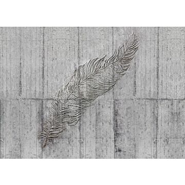 fototapet Concrete Feather grått av Komar